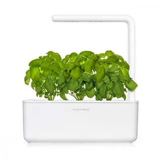 Kapsułki roślinne Click and Grow Plant Pods Bazylia 3-Pack SGR3X3