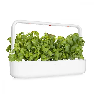 Kapsułki roślinne Click and Grow Plant Pods Bazylia 3-Pack SGR3X3