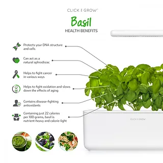 Kapsułki roślinne Click and Grow Plant Pods Bazylia 3-Pack SGR3X3