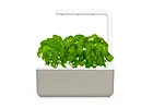 Kapsułki roślinne Click and Grow Plant Pods Bazylia 3-Pack SGR3X3