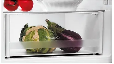 Polar Chłodziarko-zamrażarka POB601EK