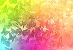 Wooden City Puzzle drewniane 3D Motyle gradient Butterfly dreams L