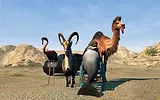 Plaion Gra Nintendo Switch Goat Simulator The GOATY