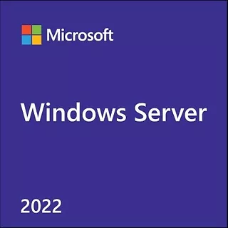 Dell Licencja ROK Win Srv 2022 CAL Rmt Dsktp User 1Clt