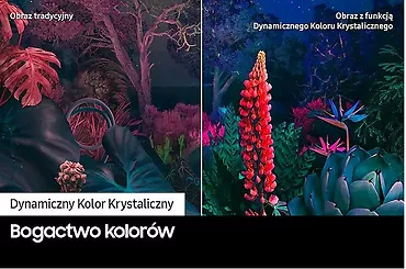 Samsung Telewizor TV 55 cali UE55CU8002KXXH