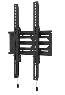 Neomounts Uchwyt ścienny do ekranów 55-110 cali - czarny WL30S-950BL19