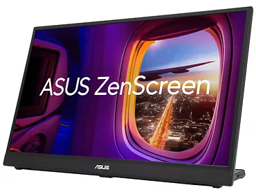 Monitor przenośny 17,3