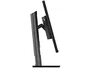 Monitor 31,5