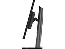 Monitor 31,5