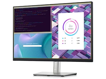 Monitor 24