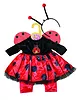 Zapf Ubranko Sukienka Biedronka z legginsami Dolly Moda Baby Born