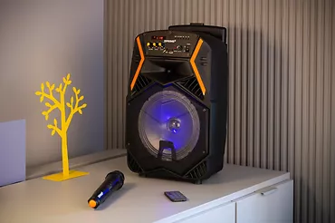 PRIME3 Głośnik APS22 system audio Bluetooth Karaoke