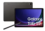 Samsung Tablet Galaxy Tab S9 X716 5G 11 cali 8/128 GB Gray Enterprise Edition