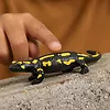 Schleich Figurka jaszczur ognisty Wild Life