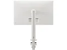 Monitor 31,5