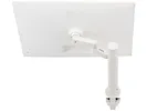 Monitor 31,5
