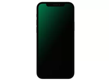 Smartfon Apple iPhone 12 Pro Max 128GB Grafitowy Renewd