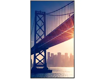 Monitor wielkoformatowy Sharp MultiSync ME502 50