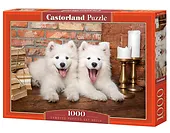 Castor Puzzle 1000 element&oacute;w Szczeniaki Samoyed