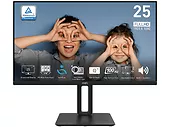 Monitor 24,5