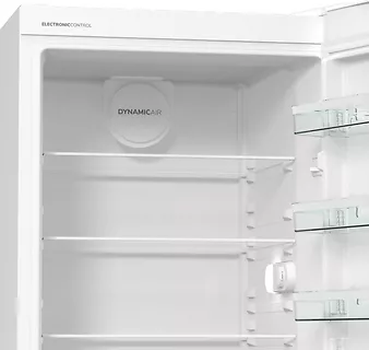 Gorenje Chłodziarka R619EEW5