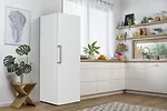 Gorenje Chłodziarka R619EEW5