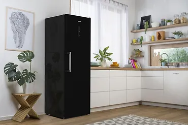 Gorenje Chłodziarka R619EABK6