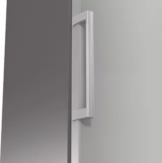 Gorenje Chłodziarka R619EES5