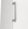 Gorenje Zamrażarka FN619EEW5