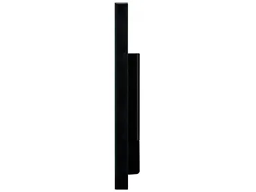 Monitor 17