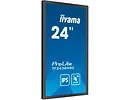 Monitor 24