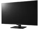 Monitor 43