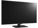 Monitor 43