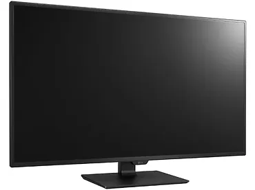 Monitor 43