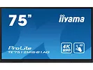 Monitor Interaktywny 75