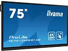 Monitor Interaktywny 75