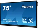 Monitor Interaktywny 75