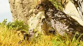 Plaion Gra PlayStation 5 ARK: Survival Ascended