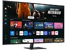 Monitor 43