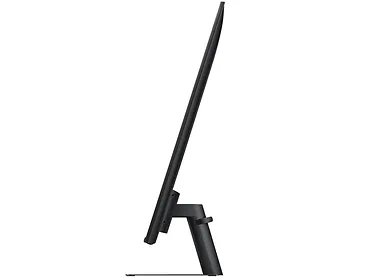Monitor 43
