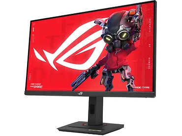 Monitor 24,5