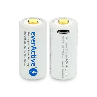 everActive Akumulator 16340 3,7V Li-ion 700 mAh micro USB