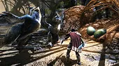 Plaion Gra Nintendo Switch Kingdoms of Amalure Re-Reckoning