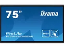 Monitor interaktywny 75