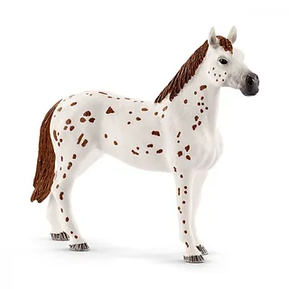 Schleich Figurka Zestaw treningowy Koni Appaloosa