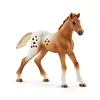 Schleich Figurka Zestaw treningowy Koni Appaloosa