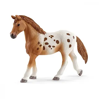 Schleich Figurka Zestaw treningowy Koni Appaloosa
