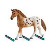 Schleich Figurka Zestaw treningowy Koni Appaloosa