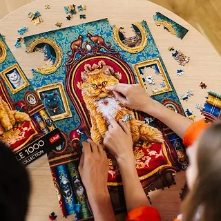 Trefl Puzzle 1000 element&oacute;w Premium Plus Kotomania Lisa Parker