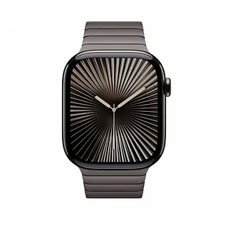Apple Bransoleta panelowa w kolorze łupku do koperty 46 mm